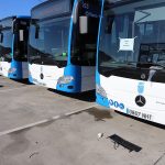 JEREZ TELEVISION Autobuses nuevos 2026