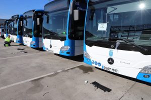 JEREZ TELEVISION Autobuses nuevos 2026