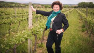 JEREZ TELEVISION Paz Ivison Premio Racimo 2026