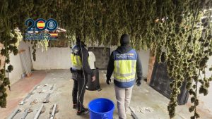 Jerez TV Policía Nacional Marihuana 2026