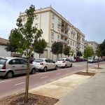 Jerez TV Calle Porvenir nuevos árboles 2026 portada