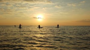 Jerez TV Paddel Surf Rota 2026