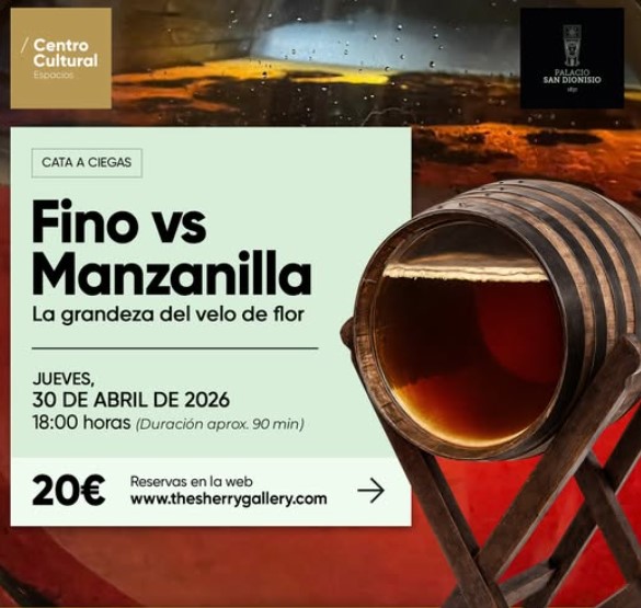 Jerez-TV-Sherry-Gallery-Manzanilla-vs-vino-2026-2-1
