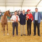 Jerez TV Concurso morfológico Feria del Caballo 2026 portada