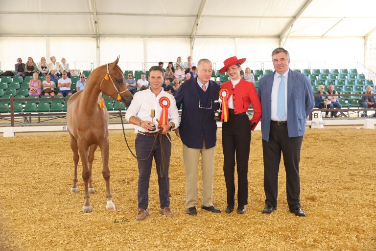 Jerez TV Concurso morfológico Feria del Caballo 2026 portada