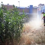 Jerez TV Desbroce de material vegetal colegios 2026 portada