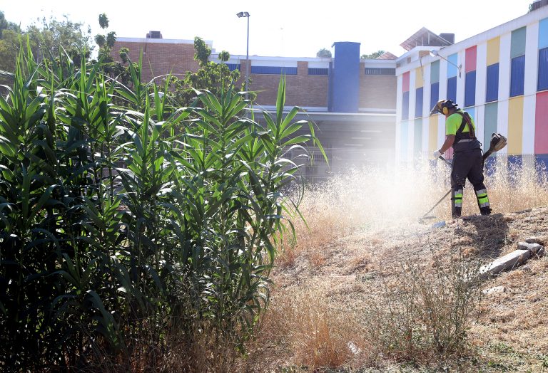 Jerez TV Desbroce de material vegetal colegios 2026 portada