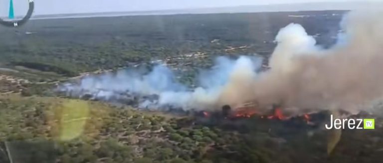 Jerez TV SIncendio en Doñana El Rocío 2026 portada1