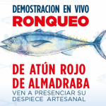JEREZ TV RONQUEO HIPERCOR JEREZ