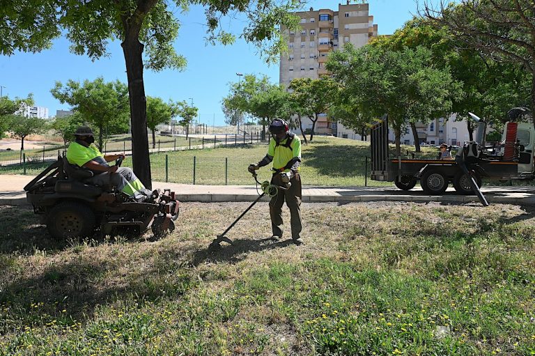 Jerez TV I Desbroce prevención de incendios 2026 portada