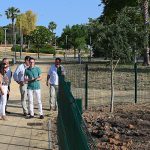 Jerez TV Pozoalbero obras 2026