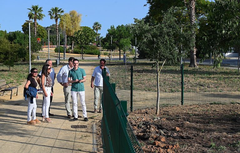 Jerez TV Pozoalbero obras 2026