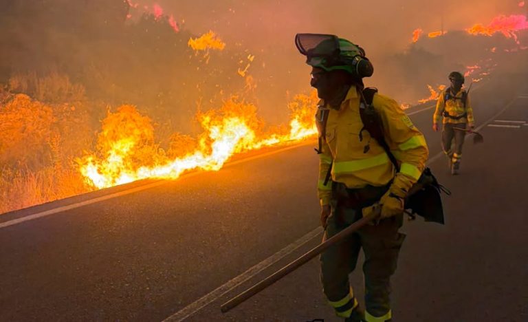Jerez TV 2026 Incendio Almeria Los Gallardos