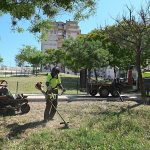 Jerez TV Desbroce zona urbana incendios
