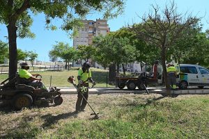 Jerez TV Desbroce zona urbana incendios