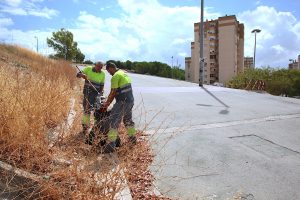 JEREZ TV Desbroce en Moreno Mendoza