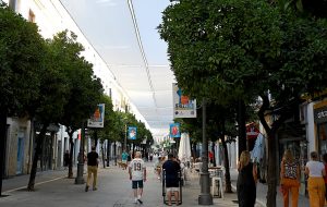 JEREZ TV Primera Gala del Comercio 2027