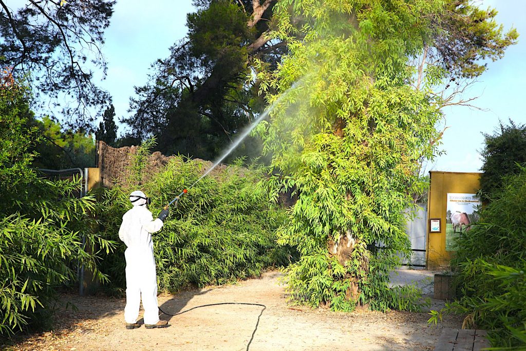 Jerez TV 2026 Virus del Nilo Zoobotanico