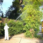 Jerez TV 2026 Virus del Nilo Zoobotanico