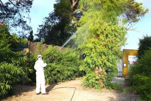 Jerez TV 2026 Virus del Nilo Zoobotanico