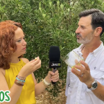 Jerez TV Pioneros AOVE