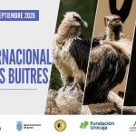 JEREZ TV DÍA INTERNACIONAL DEL BUITRE