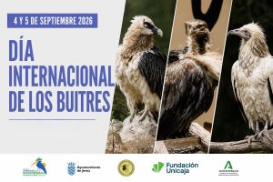 JEREZ TV DÍA INTERNACIONAL DEL BUITRE