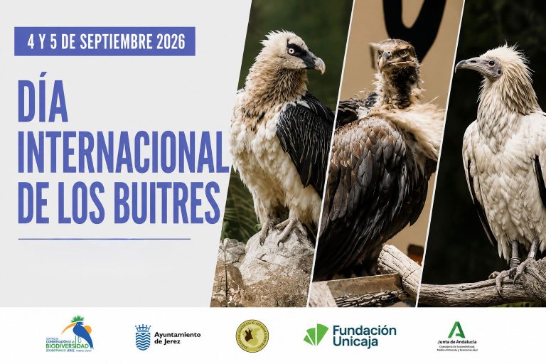 JEREZ TV DÍA INTERNACIONAL DEL BUITRE