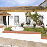 JEREZ TV ESTELLA DEL MARQUÉS