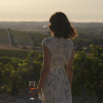JEREZ TV La Ruta del Vino y el Brandy