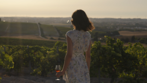 JEREZ TV La Ruta del Vino y el Brandy