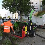 JEREZ TV PODA PALMERAS