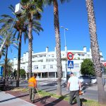 JEREZ TV Poda Palmeras Avenida Andalucia