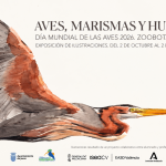 JEREZ TV AVES, MARISMAS Y HÚMEDALES