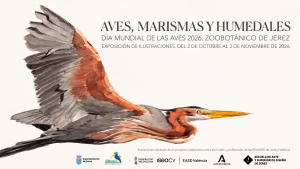 JEREZ TV AVES, MARISMAS Y HÚMEDALES