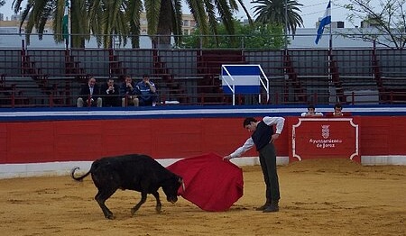 JEREZ TV ESCUELA MUNICIPAL DE TAUROMÁQUIA