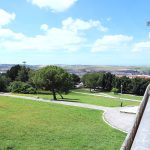 JEREZ TV PICADUEÑAS