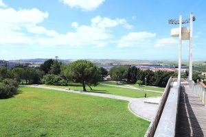 JEREZ TV PICADUEÑAS