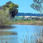 JEREZ TV RIO GUADALETE