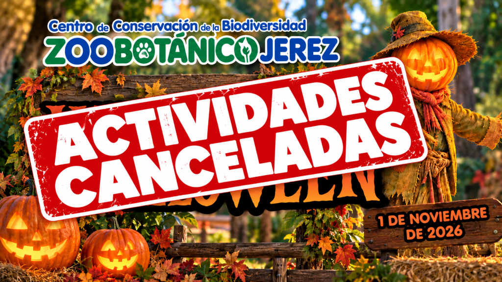 JEREZ TV ZOO HALLOWEEN CANCELADO