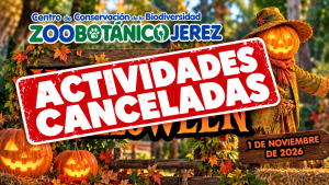 JEREZ TV ZOO HALLOWEEN CANCELADO